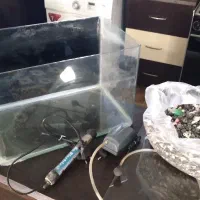 اکواریم|ماهی|شیراز, جوادیه|دیوار