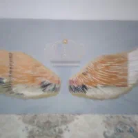 تابلو زیبا و بادوام سنتی