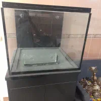 اکواریوم سامپ دار