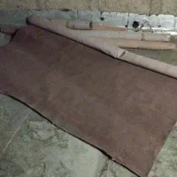 موکت|موکت|قزوین, |دیوار