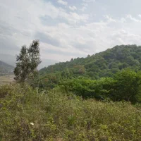 زمین ۲۴۰۰ متر / در ارتفاعات منطقه/قبل از تاکام|فروش زمین و ملک کلنگی|پایین هولار, |دیوار