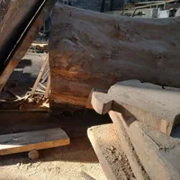 اسلب چوب تنه کالباسی تخته|عمدهفروشی|طاهرگوراب, |دیوار