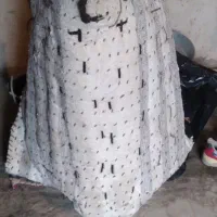 تجهیزات سواری