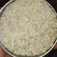 برنج کامفیروزی به شرط پخت|خوردنی و آشامیدنی|کامفیروز, |دیوار