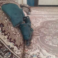 کفش اسکیت