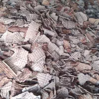 نان خشک بربری  دستگاهی درجه بدون اشغال