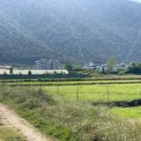 فروش زمین در بهترین لوکیشن نمک آبرود هچیرود