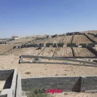 زمین ۵۰۰ متری هاشمک سند دیوار کشی