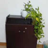 جاکفشی