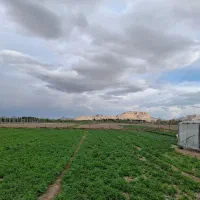 زمین-کشاورزی