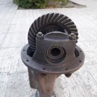 کله گاوی پیکان سالم