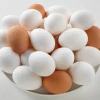 فروش عمده تخم مرغ تیراژ بالا