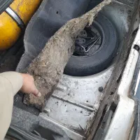 پژو 405|خودرو سواری و وانت|زابل, |دیوار