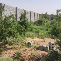 ۸۰۰متر باغ انار|فروش زمین و ملک کلنگی|مبارکه, |دیوار