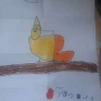 گمشده عروس هلندی به نام اودی|حیوانات|کیش, |دیوار