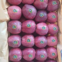 سیب درجه یک قرمز و سفید|عمدهفروشی|انگوران, |دیوار