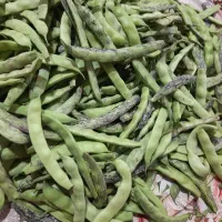 لوبیا سبز قره داغ