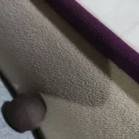 سنگ|فعالیت داوطلبانه تحقیقاتی|پرند, فاز ۵|دیوار