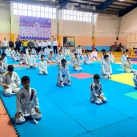 آموزش  جوجیتسو و MMA|خدمات آموزشی|بروجرد, |دیوار