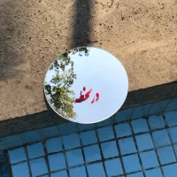 آیینه|آینه|کرج, گلستان|دیوار