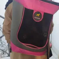 برای حمل حیوون قشنگ خونگیتون|لوازم جانبی حیوانات|رشت, نیکمرام|دیوار