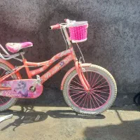 دوچرخه دخترانه|دوچرخه، اسکیت، اسکوتر|میانه, |دیوار