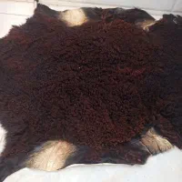 پوست گوسفند و گاو|صنایع دستی و سایر لوازم تزئینی|آق قلا, |دیوار