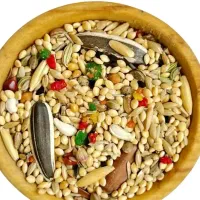 اصلاح بال پرندگان در منزل و خدمات دان و دارو|خدمات پیشه و مهارت|گنبد کاووس, |دیوار