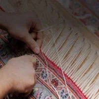 قالیشویی ومبلشویی/زرهی/فرهنگشهر/ستارخان/معالی اباد|خدمات نظافت|شیراز, زرهی|دیوار