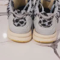 کتونی zx تدی|کیف، کفش، کمربند|رباطکریم, الارد|دیوار