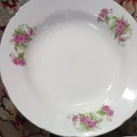 چینی گل قرمز