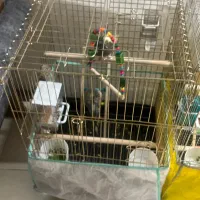 دوعدد عروس هلندی دستی  بچه باقفس و همه چی