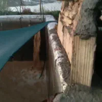 زمین فنس‌کشی ،محدوده کلاته سالار/۱۰۰متری شهرک ملی|فروش دفتر صنعتی، کشاورزی، تجاری|سبزوار, قصبه شرقی|دیوار