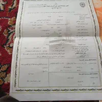 حج واجب