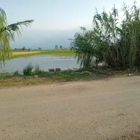 فروش ویا معاوضه بااپارتمان یاویلاحومه بابلسر|فروش دفتر صنعتی، کشاورزی، تجاری|هادی شهر, |دیوار