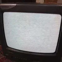 تلویزیون
