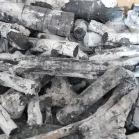 زغال پسته سفید دهکده