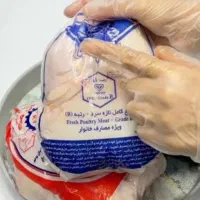 مرغ گرم عمده به قیمت کشتارگاه