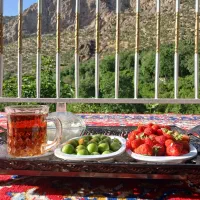 اقامتگاه ژین پاوه هجیج داریان اورامانات