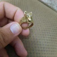 انگشترگرگی