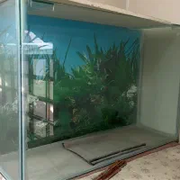 آکواریوم ماهی