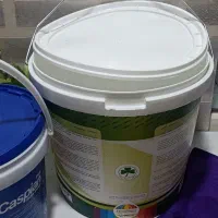 سطل رنگ تمیز و شسته شده|ظروف نگهدارنده، پلاستیکی، یک‌بارمصرف|بیرجند, |دیوار