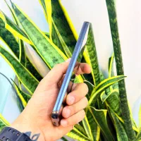 سامسونگ گلکسی آ ۵۴ - Samsung Galaxy A54|موبایل|تهران, ونک|دیوار