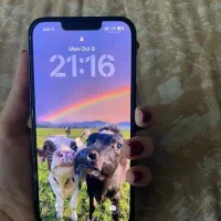 ایفون ۱۳ نرمال|موبایل|شیراز, بریجستون|دیوار