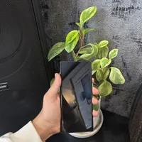نت ۲۰ الترا