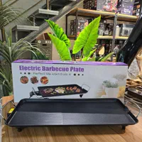 پخش (عمده و تک) سینی  گرانیت برقی (استیک مرغ گوشت)