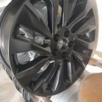 رینگ لاماری