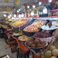 به نگهبان شب نیازمندیم