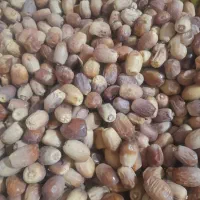 فروش خرما زاهدی|خوردنی و آشامیدنی|نیشابور, شهرک رسولی|دیوار