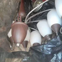 نو هستن هرکی خواست زنگ بزنه|لوستر و چراغ آویز|کوهدشت, |دیوار